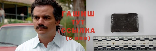 прущие грибы Богданович