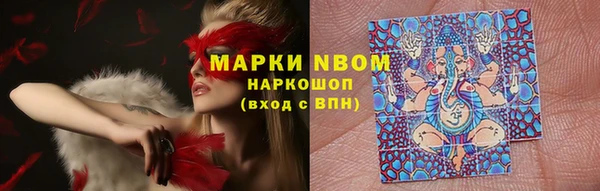 прущие грибы Богданович