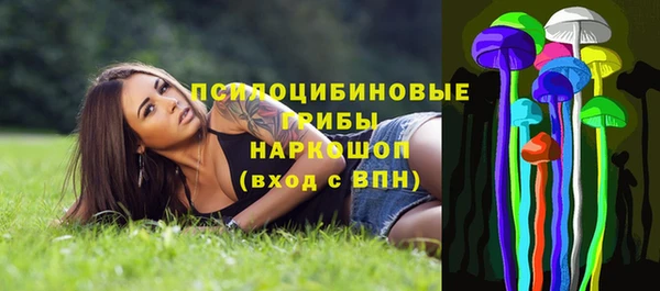 сатива Бронницы