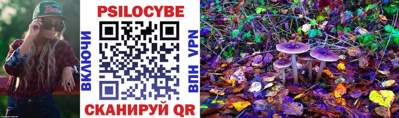 Псилоцибиновые грибы прущие грибы  даркнет сайт  Киселёвск 