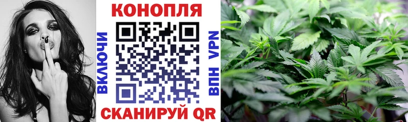 Бошки Шишки VHQ mega Киселёвск